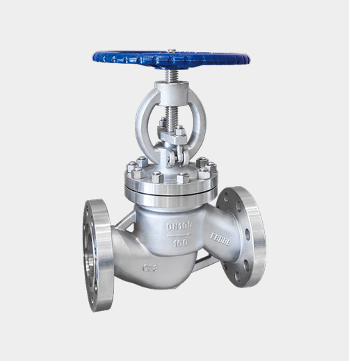 High-Pressure Stainless Steel Globe Valve — PVPeW 2026