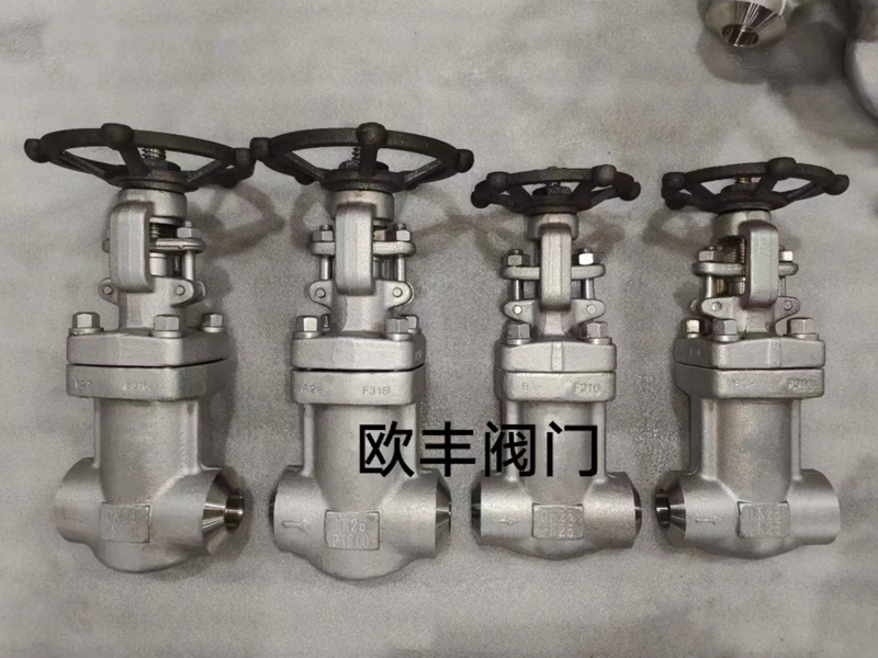 Stainless Steel Bellows-Sealed Globe Valve — PVPeW 2026