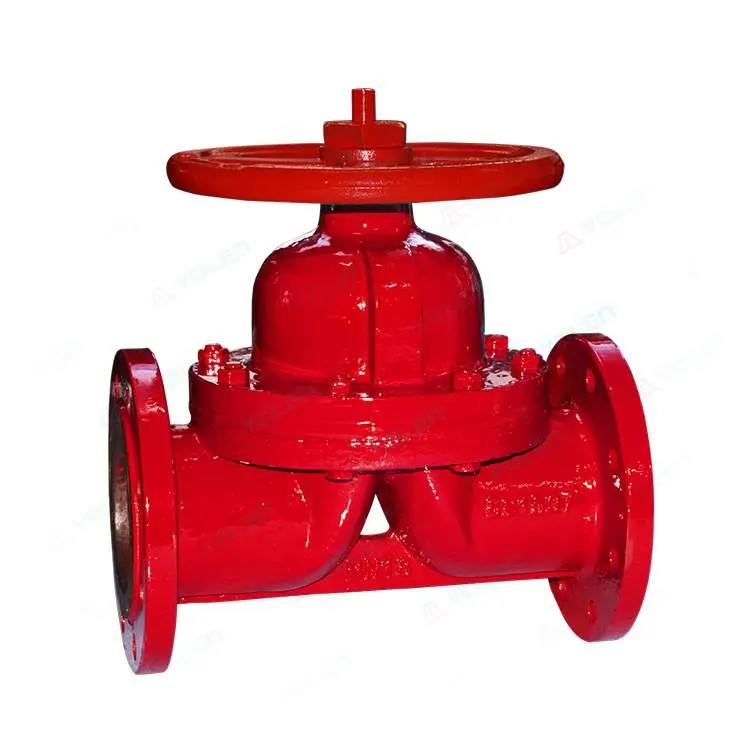 G41J Rubber-Lined Diaphragm Valve — PVPeW 2026