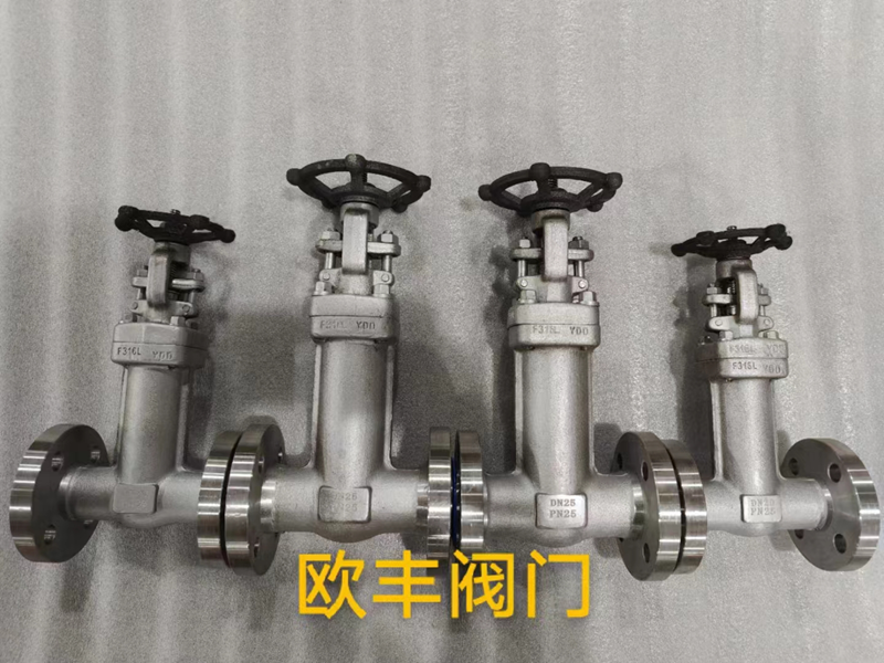 Stainless Steel Bellows-Sealed Gate Valve — PVPeW 2026