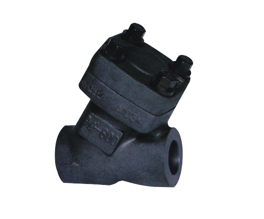 Y Check Valve — PVPeW 2026