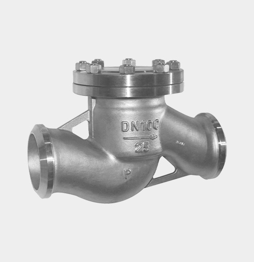 Lift-Type Check Valve — PVPeW 2026