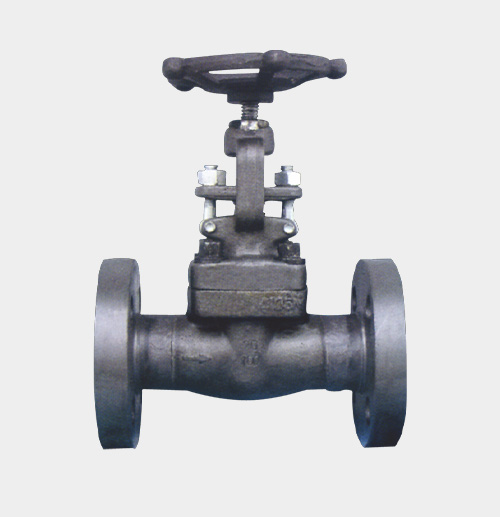 Flanged Gate Valve — PVPeW 2026
