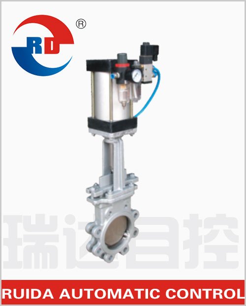 Pneumatic Wafer Gate Valve — PVPeW 2026