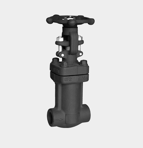 A105 Bellows-Sealed Globe Valve — PVPeW 2026