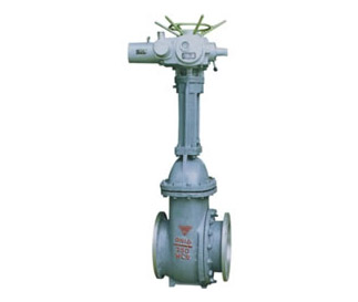 Slurry Gate Valve — PVPeW 2026