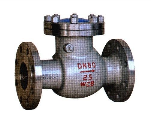 Swing-Type Check Valve H44T-10/16 — PVPeW 2026