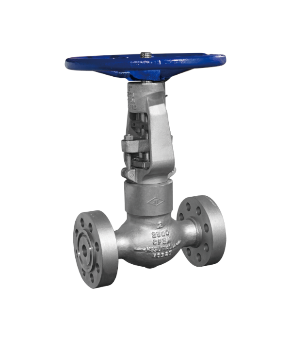 ASME-Standard Stainless Steel Globe Valve — PVPeW 2026
