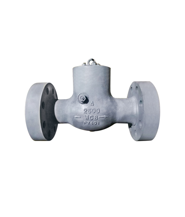 Flanged Check Valve — PVPeW 2026