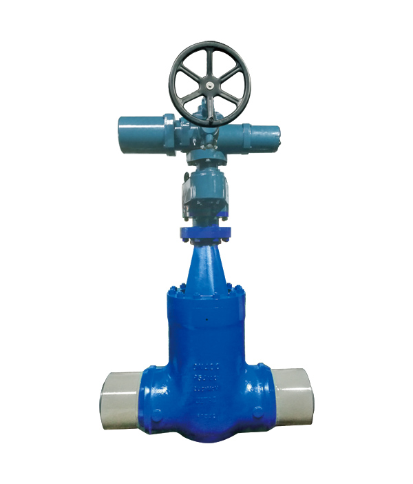 Power-Station Gate Valve — PVPeW 2026