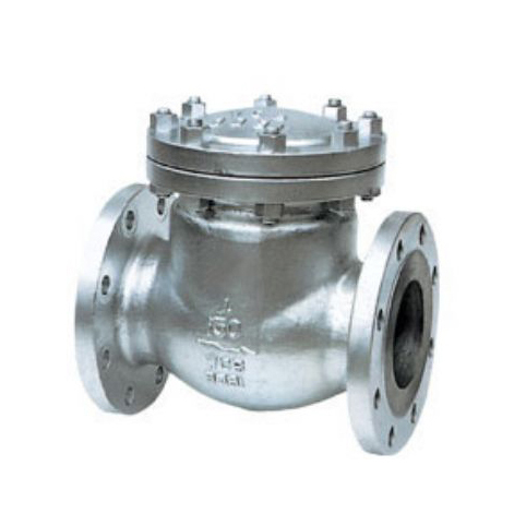 ASME-Standard Check Valve — PVPeW 2026