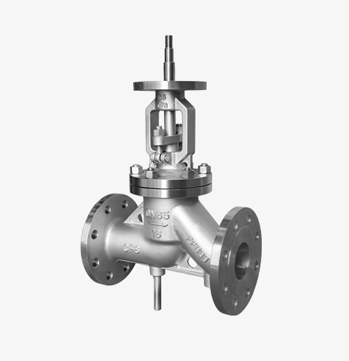 Stainless Steel Globe Valve — PVPeW 2026