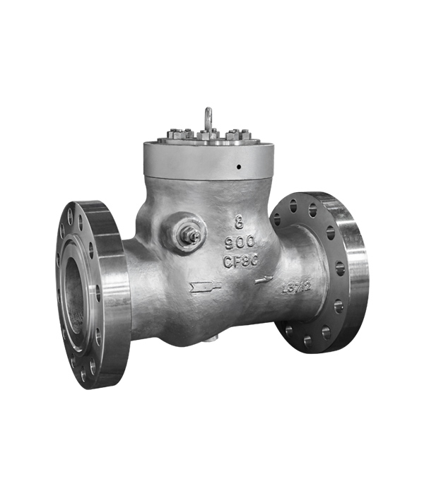 Swing-Type Check Valve — PVPeW 2026