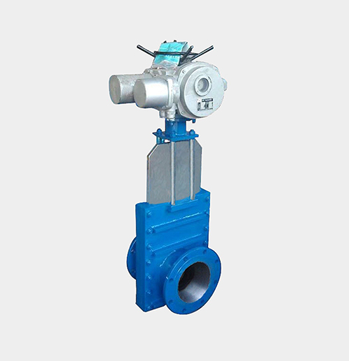 Gate Valve — PVPeW 2026