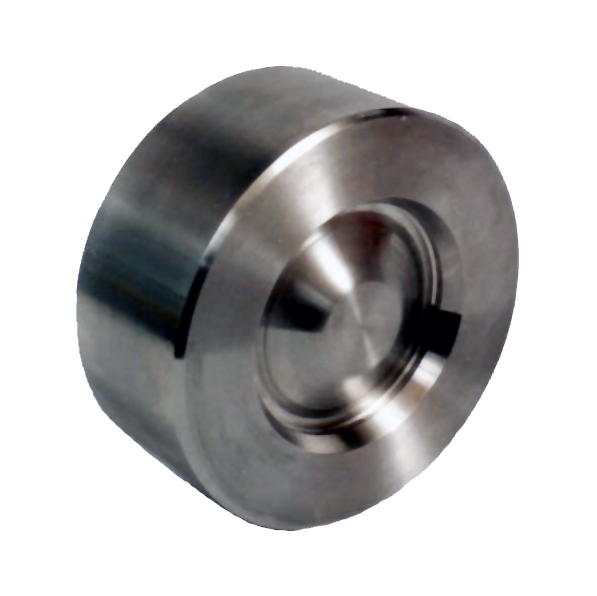Check Valve – Chaoda — PVPeW 2026