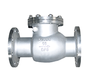 Stainless Steel Swing-Type Check Valve — PVPeW 2026
