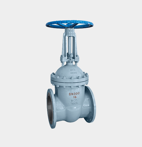 Cast Steel Gate Valve — PVPeW 2026