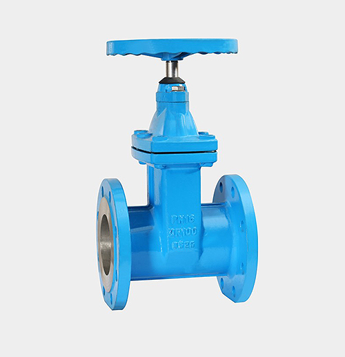Gate Valve — PVPeW 2026