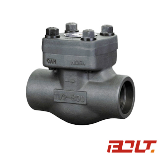 Swing-Type Check Valve — PVPeW 2026