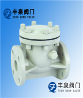 Pph Plastic Check Valve — PVPeW 2026