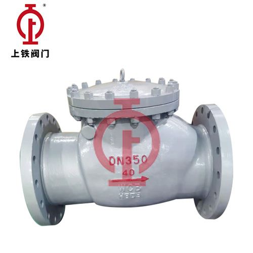Dn350-40Lb Carbon Steel ASME-Standard Check Valve — PVPeW 2026