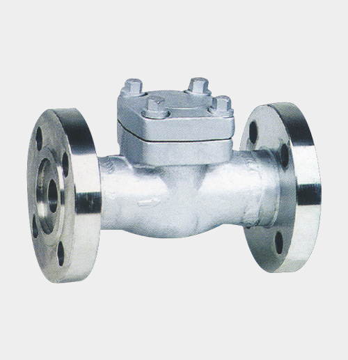 Flanged Check Valve — PVPeW 2026