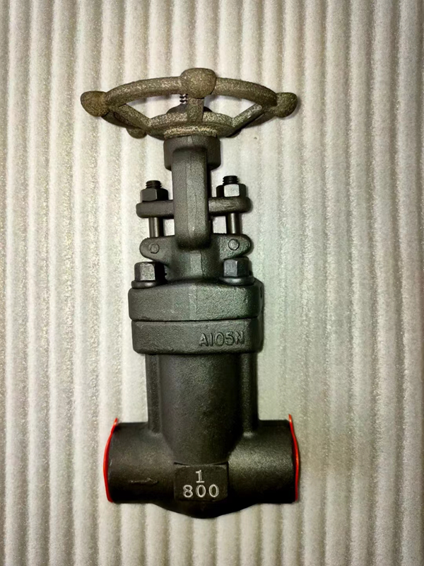 Welded Bellows-Sealed Globe Valve — PVPeW 2026