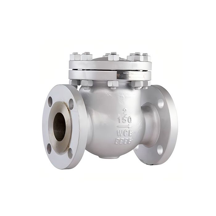 ANSI Swing Check Valve — PVPeW 2026