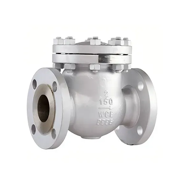 Check Valve — PVPeW 2026