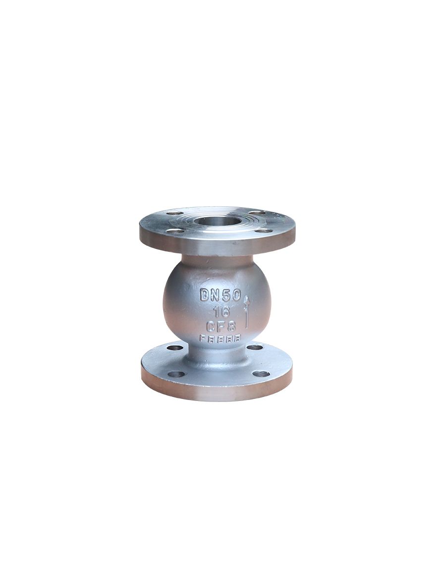 Vertical Check Valve — PVPeW 2026
