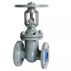 Cast Steel Gate Valve — PVPeW 2026