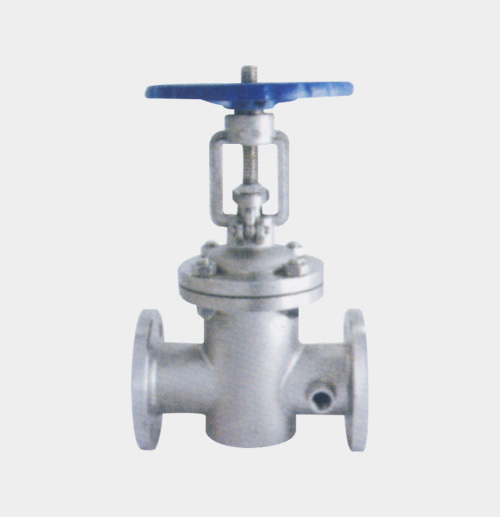Jacketed Gate Valve — PVPeW 2026