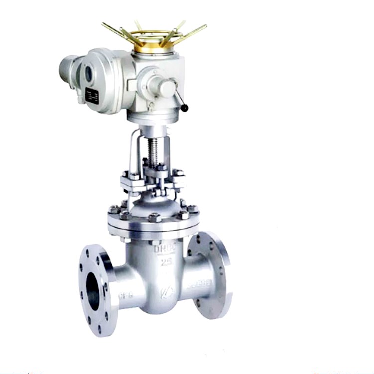 Stainless Steel Electric-Actuated Gate Valve — PVPeW 2026