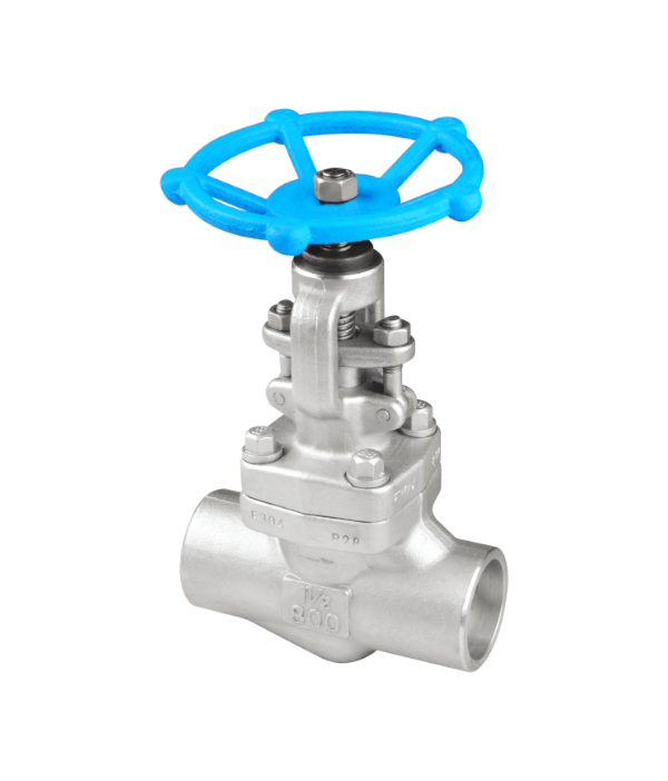 ASME-Standard Welded Globe Valve — PVPeW 2026