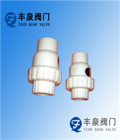 Abs Plastic Check Valve — PVPeW 2026