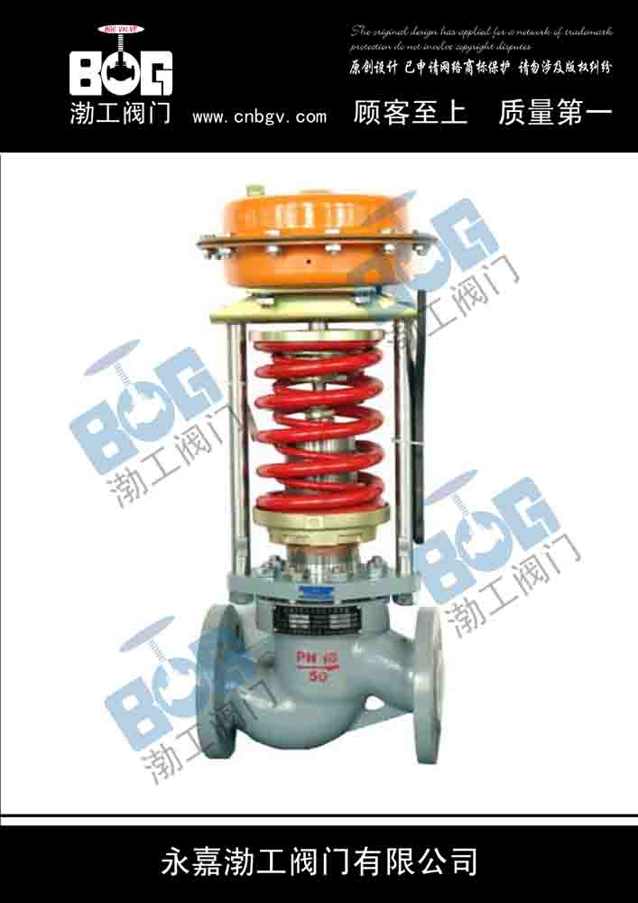 Zzyp Control Valve — PVPeW 2026