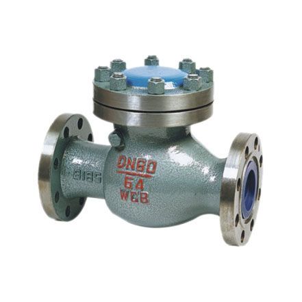 Swing-Type Check Valve — PVPeW 2026