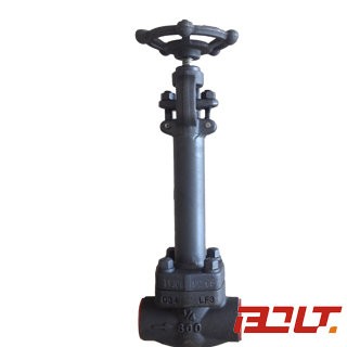 Cryogenic Globe Valve Dj61W / Dj11W / Dj41W — PVPeW 2026
