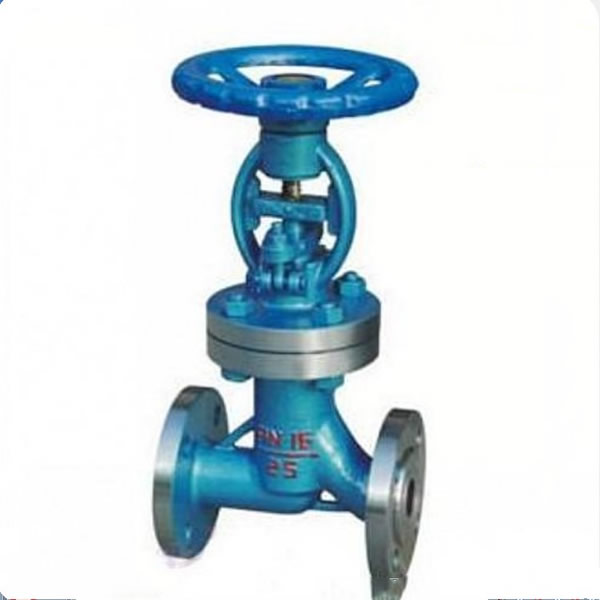 Wj41H Bellows-Sealed Globe Valve — PVPeW 2026