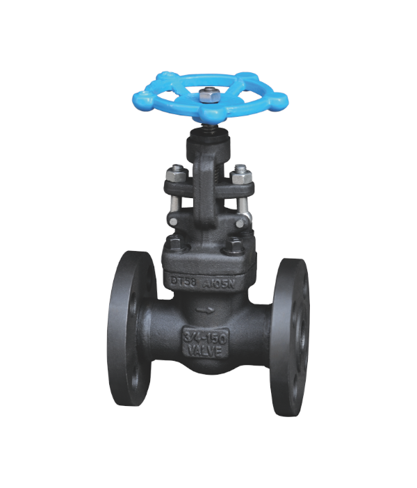 ASME-Standard Flanged Globe Valve — PVPeW 2026