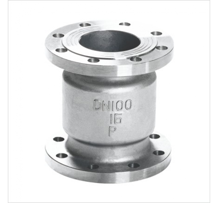 Vertical Check Valve — PVPeW 2026
