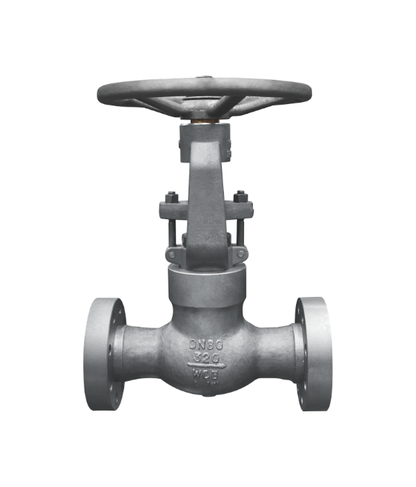 GB-Standard Manual Globe Valve — PVPeW 2026