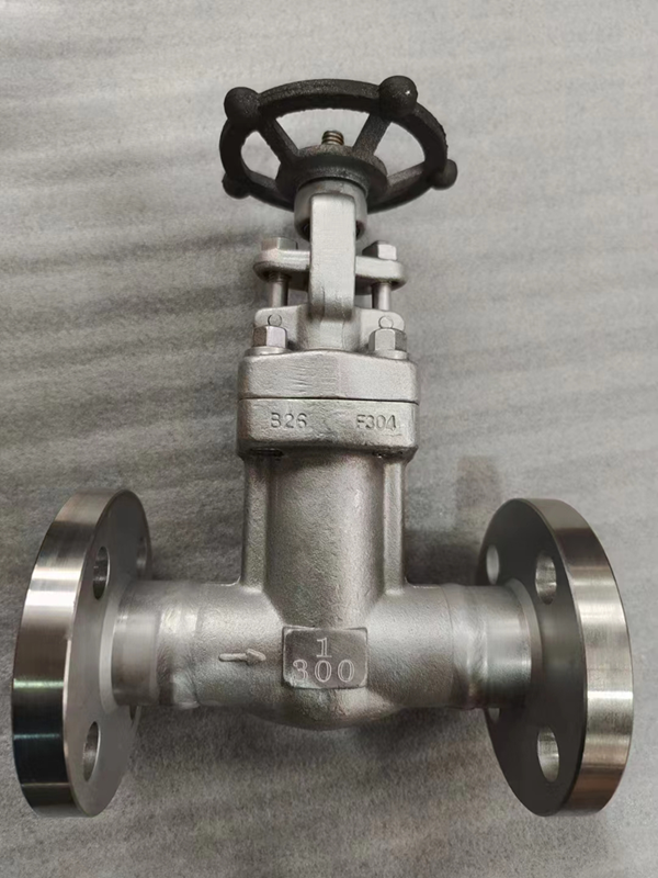 Stainless Steel Bellows-Sealed Globe Valve — PVPeW 2026
