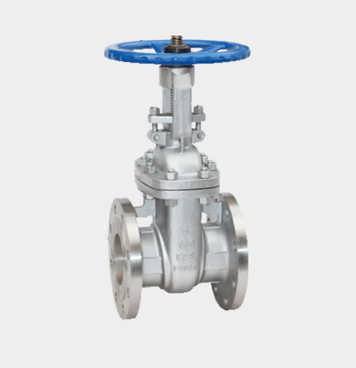 Stainless Steel ASME-Standard Gate Valve — PVPeW 2026
