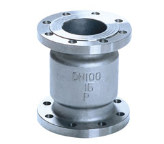 H42Wh42W Stainless Steel Vertical Check — PVPeW 2026