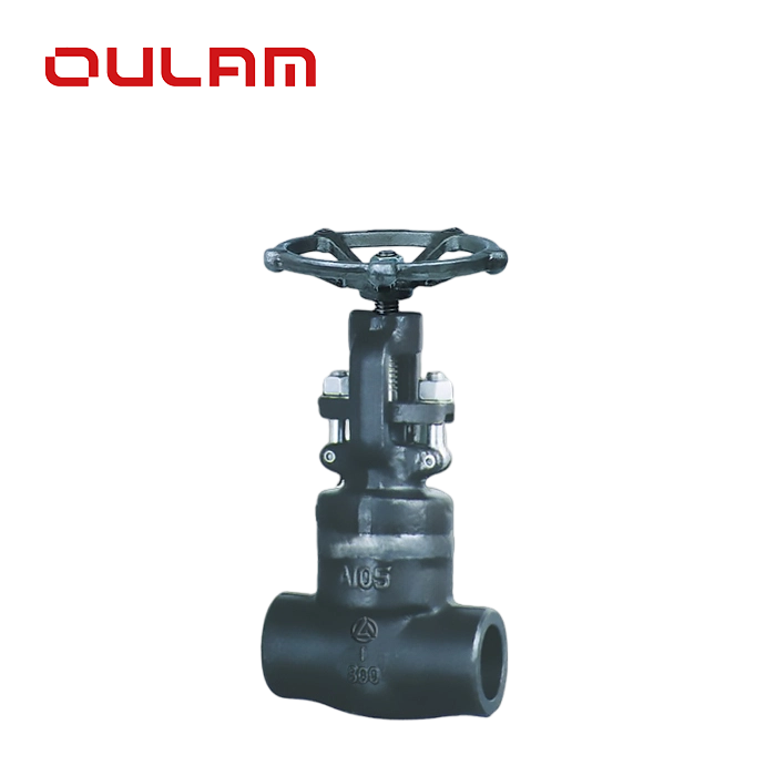 High-Pressure Globe Valve — PVPeW 2026
