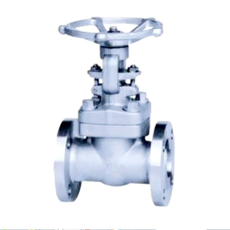 Z41Y Gate Valve — PVPeW 2026
