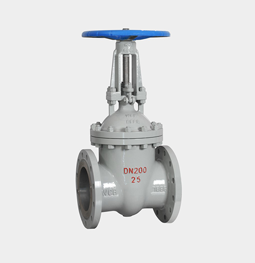 Cast Steel Gate Valve — PVPeW 2026