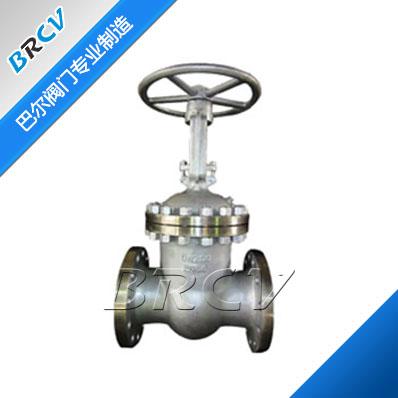 Z41W-64P Stainless Steel Gate Valve — PVPeW 2026