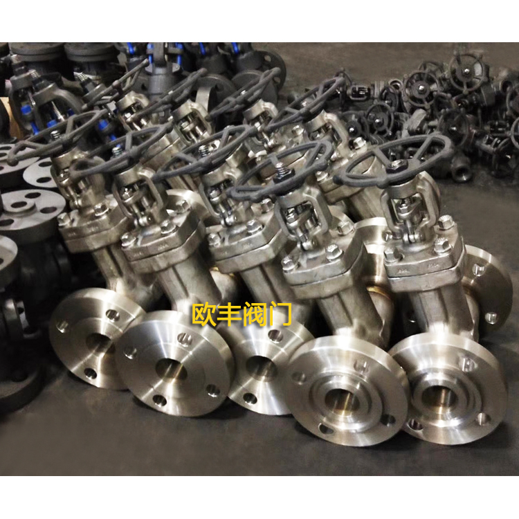 F304 Stainless Steel Bellows-Sealed Globe Valve Industrial Valve — PVPeW 2026